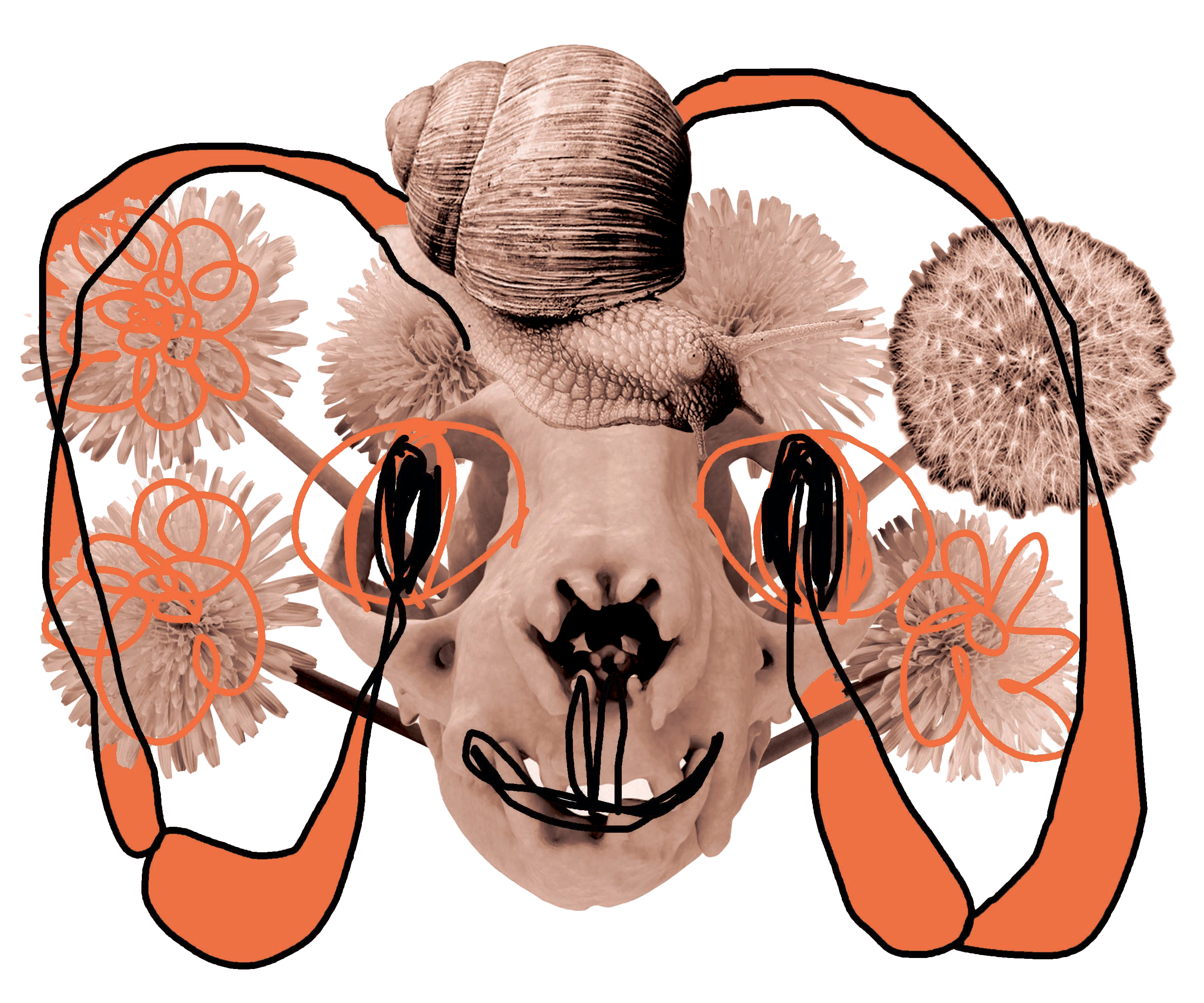 Image alt text here